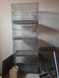 Gabbia Uccelli  4 in 1 