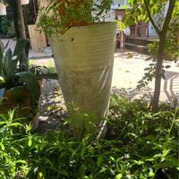 Vaso interno/esterno