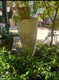 Vaso interno/esterno