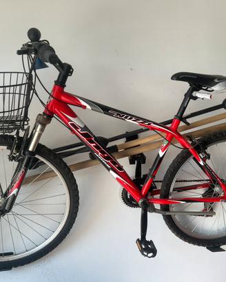 Mountain bike