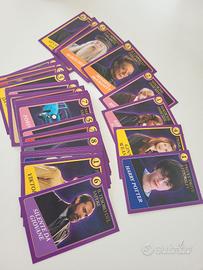 Figurine Harry Potter / Animali Fantastici 