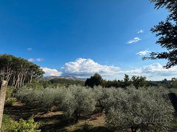 Terreno agricolo
