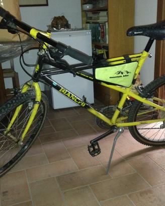 Mountain Bike bianchi ragno thomisus