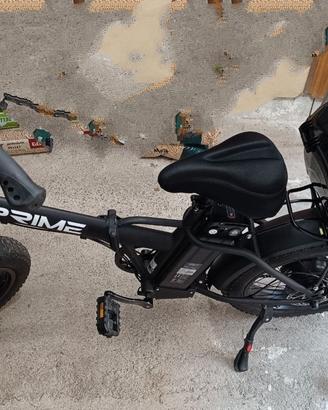 Fat-bike