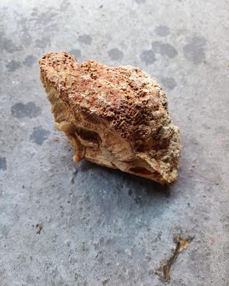 Rocce acquario marino