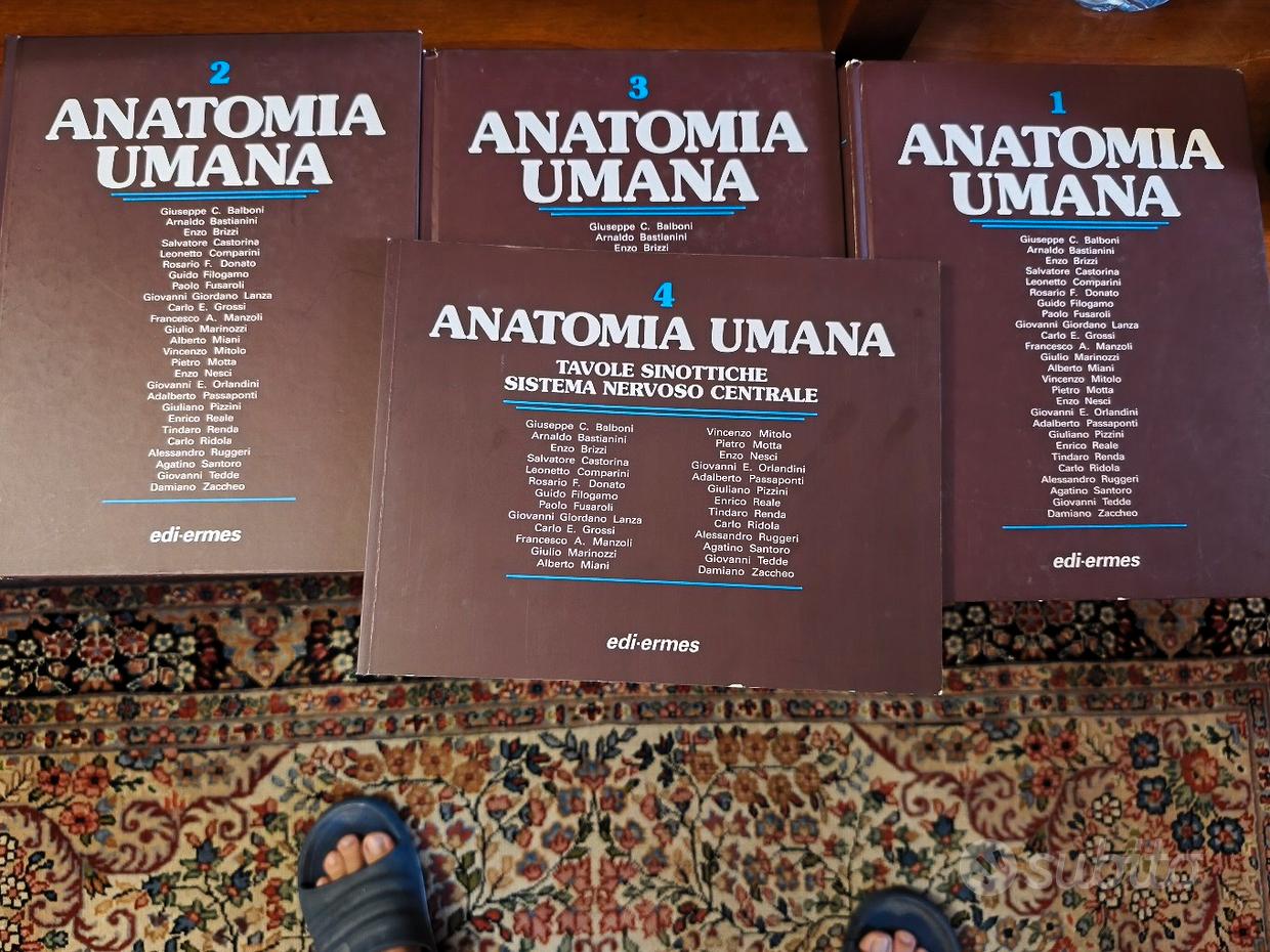 Play Little Activity Garden Activity Garden Little Tikes Baby Play