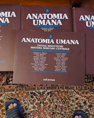 anatomia umana