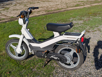 Grillo Piaggio ciao