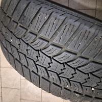 2 pneumatici sava eskimo hp2