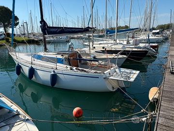 Sciarrelli orion 25