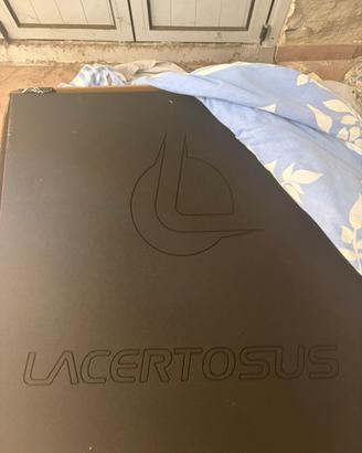 Gommato da palestra lacertosus