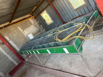 Gabbie allevamento conigli