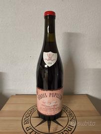 Maison Pierre Overnoy Ploussard 2020