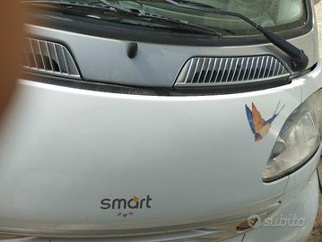smart passione