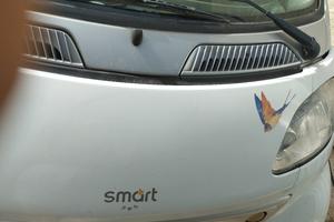 smart passione