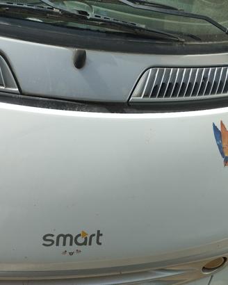 smart passione