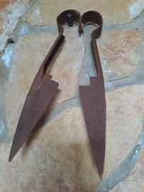 forbici da collezionismo 