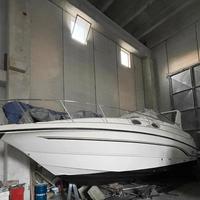 Chaparral Signature 300