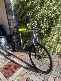 Scoot scale 980