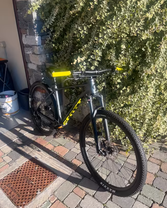 Scoot scale 980