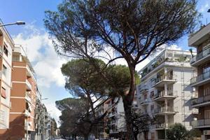 ARDEATINO PIAZZA LANTE LOCALE COMMERCIALE C1