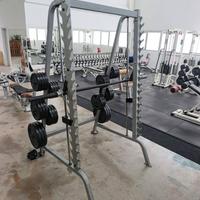 Multipower/Smith Machine Life Fitness
