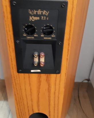 altoparlanti Infinity