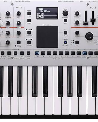 Roland GAIA 2 + BORSA Thomann