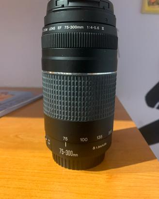 Canon110d