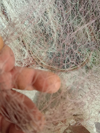 Rete per pescare pettini professionale