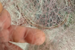 Rete per pescare pettini professionale