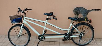 Bicicletta Tandem 