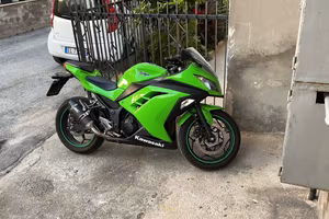 Kawasaki Ninja 300 - 2015
