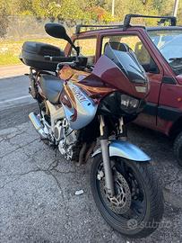 TDM 850