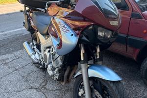 TDM 850