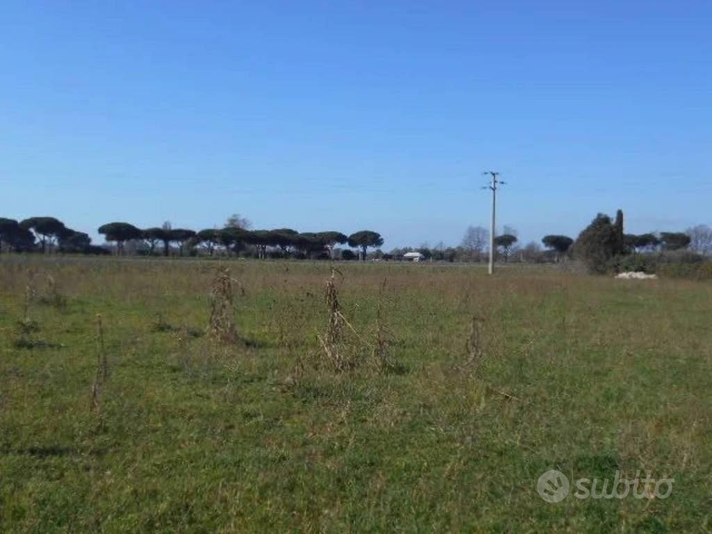 Immobile in asta di 82648 m² a Latina - Altro