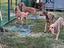 Immagine 3