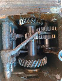 Cambio Fiat 600 Prima Serie