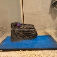 Acquario più accessori 