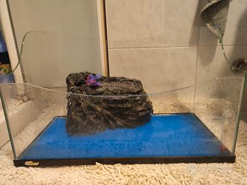 Acquario più accessori 