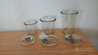 VASETTI WECK IN VETRO VARIE DIMENSIONI CON CLIPS
