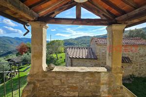 Appartamento Arezzo [VL118VRG]