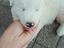 Immagine 5