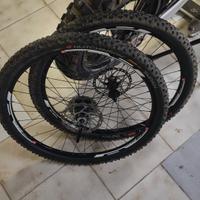cerchi MTB 29 completi dischi pacco pignoni QR