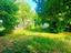 Immagine 17