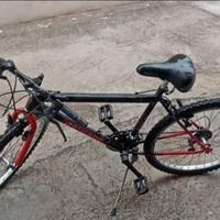 Bicicletta Mountain bike 26
