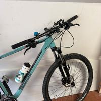 Bianchi jab 29.3