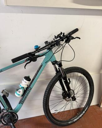 Bianchi jab 29.3
