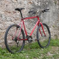Bicicletta MTB