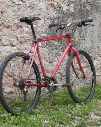 Bicicletta MTB